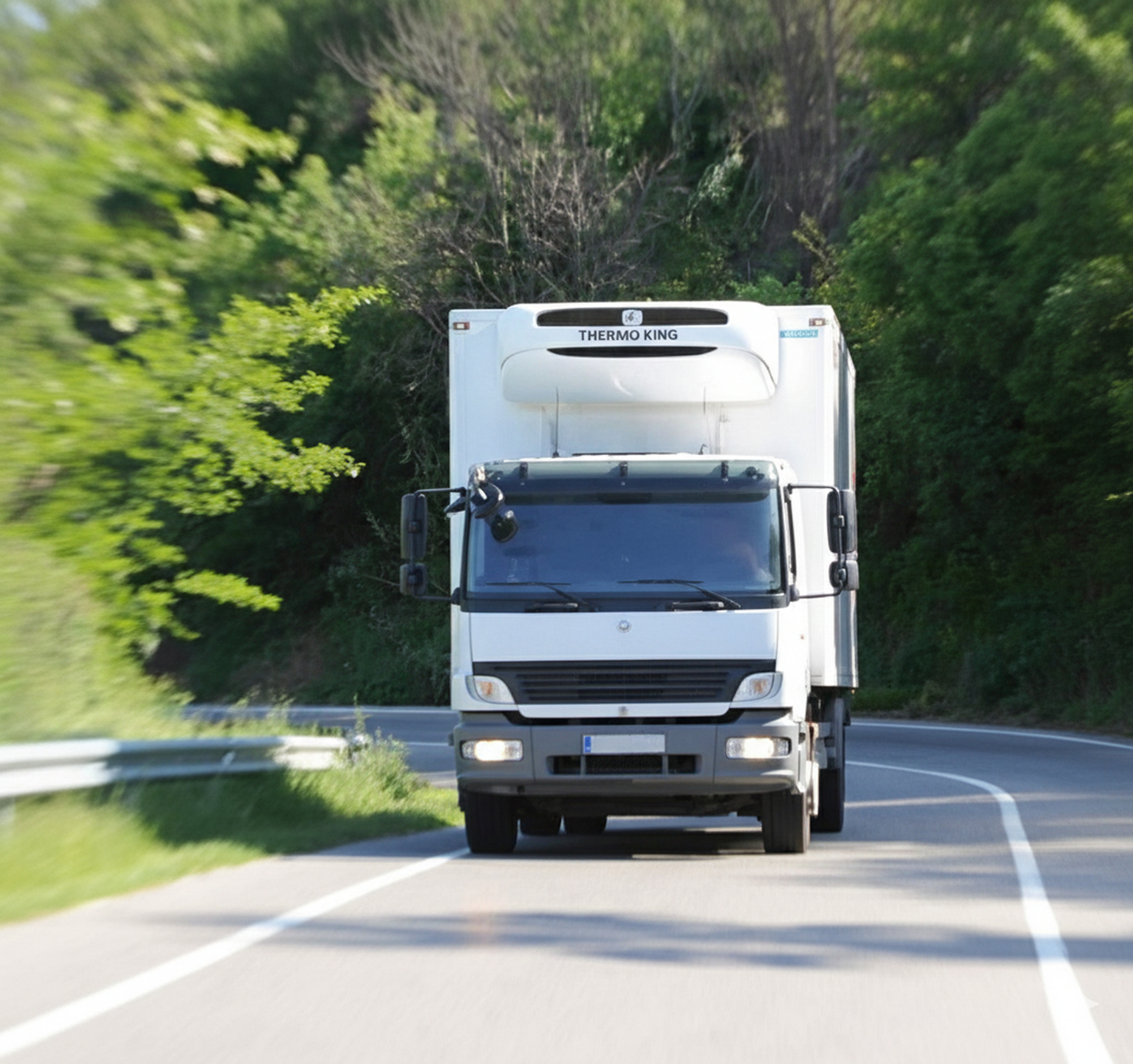 Unidad Thermo King instalada en vehículo de transporte refrigerado